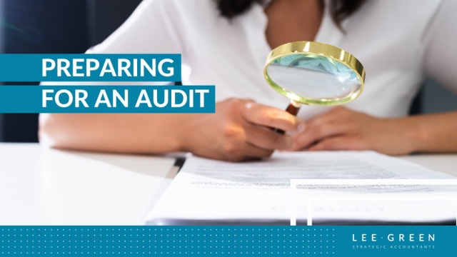 Audit Article Web Banner