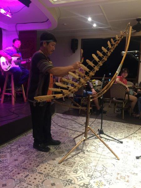 Traditional Vietnamese instrument